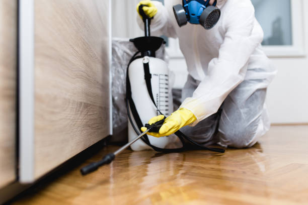 Best Insect Control  in Maywood Park, OR