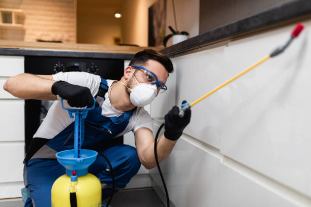 Pest Prevention Services in Maywood Park, OR