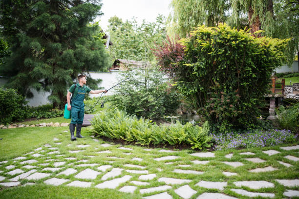 Best Pest Removal Services  in Maywood Park, OR