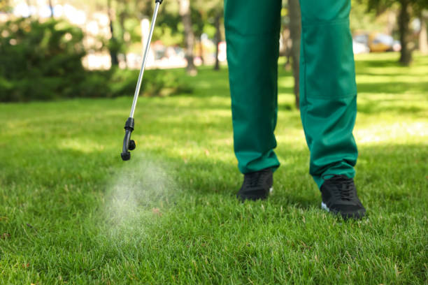 Best Local Pest Control Services  in Maywood Park, OR