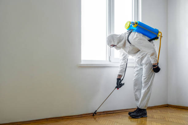 Reliable Maywood Park, OR Pest Control Solutions