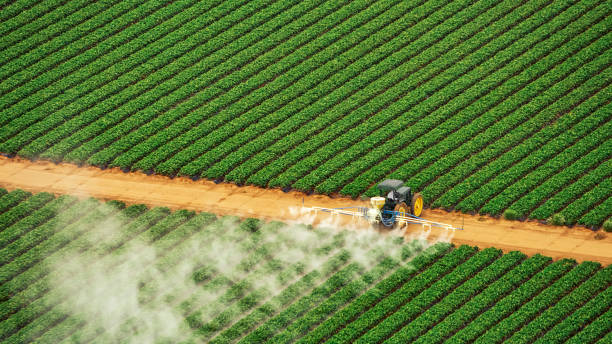 Best Mosquito Control Services  in Maywood Park, OR