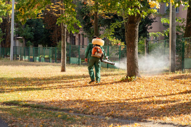 Best Pest Control for Businesses  in Maywood Park, OR