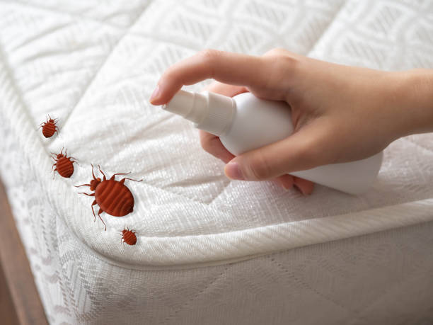 Pest Control Cost in Maywood Park, OR