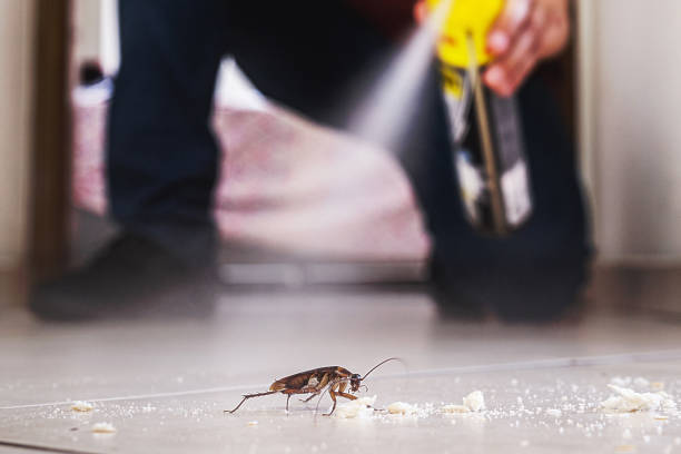 Best Rat Extermination Near Me  in Maywood Park, OR