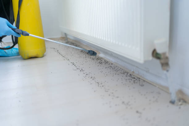 Best Pest Prevention Services  in Maywood Park, OR