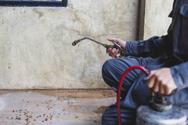 Best Termite Control Services  in Maywood Park, OR